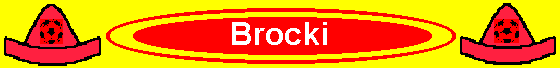 Brocki